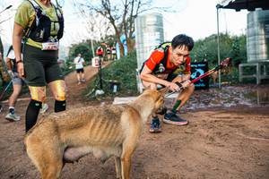 BIB: 
                            <button type="button" onclick="openModal(25457859)" class="btn btn-primary btn-sm float-right btn-popup" data-toggle="modal" data-target=".modal-high-quality">
                        <i class="fas fa-shopping-cart"></i> Add to Cart
                    </button>
                                            <button type="button" onclick="isThisMe(25457859, true)" class="btn btn-success btn-sm float-right btn-popup btn-isme hidden" data-toggle="tooltip" data-placement="bottom" title="นี่คือรูปของคุณใช่ไหม คลิกที่นี่เพื่อเอาเข้าอัลบั้ม">
                        <i class="fas fa-plus"></i> Add to album
                    </button>
                    <button type="button" onclick="isThisMe(25457859, false)" class="btn btn-warning btn-sm float-right btn-popup btn-isnotme hidden">
                        <i class="fas fa-ban"></i> Remove from album
                    </button>